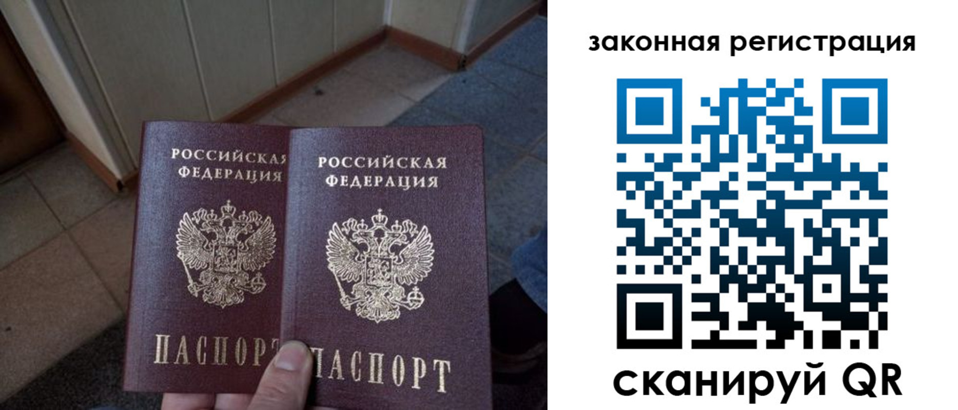 прописка законно в Воронеже